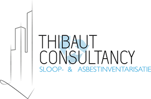 Logo Thibaut Consultancy